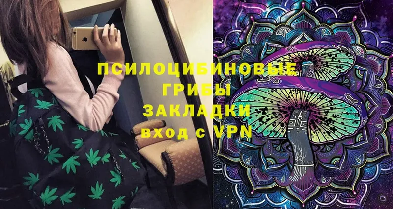 как найти закладки  это какой сайт  Псилоцибиновые грибы Psilocybine cubensis  Грязи 